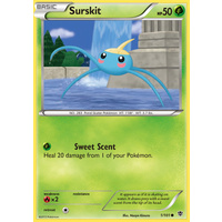 Surskit 1/101 BW Plasma Blast Common Pokemon Card NEAR MINT TCG