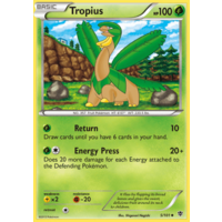 Tropius 5/101 BW Plasma Blast Uncommon Pokemon Card NEAR MINT TCG