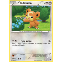 Teddiursa 75/101 BW Plasma Blast Common Pokemon Card NEAR MINT TCG