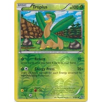 Tropius 5/101 BW Plasma Blast Reverse Holo Uncommon Pokemon Card NEAR MINT TCG