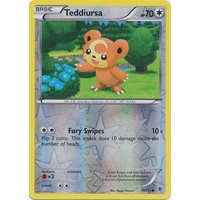 Teddiursa 75/101 BW Plasma Blast Reverse Holo Common Pokemon Card NEAR MINT TCG