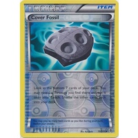 Cover Fossil 79/101 BW Plasma Blast Reverse Holo Uncommon Trainer Pokemon Card NEAR MINT TCG