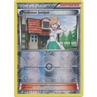Professor Juniper 84/101 BW Plasma Blast Reverse Holo Uncommon Trainer Pokemon Card NEAR MINT TCG