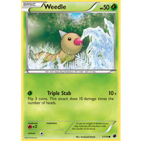Weedle 1/116 BW Plasma Freeze Common Pokemon Card NEAR MINT TCG