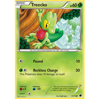 Treecko 6/116 BW Plasma Freeze Common Pokemon Card NEAR MINT TCG