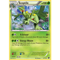 Sceptile 8/116 BW Plasma Freeze Holo Rare Pokemon Card NEAR MINT TCG