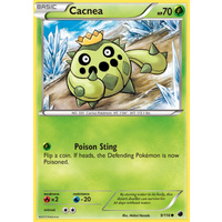 Cacnea 9/116 BW Plasma Freeze Common Pokemon Card NEAR MINT TCG