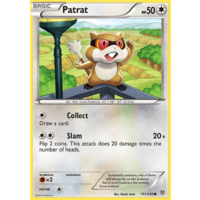 Patrat 111/135 BW Plasma Storm Common Pokemon Card NEAR MINT TCG
