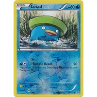 Lotad 29/135 BW Plasma Storm Reverse Holo Common Pokemon Card NEAR MINT TCG