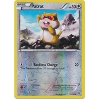Patrat 110/135 BW Plasma Storm Reverse Holo Common Pokemon Card NEAR MINT TCG