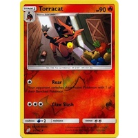 Torracat 21/181 SM Team Up Reverse Holo Uncommon Pokemon Card NEAR MINT TCG