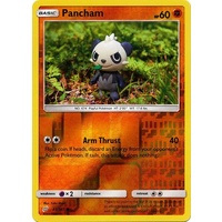 Pancham 81/181 SM Team Up Reverse Holo Common Pokemon Card NEAR MINT TCG