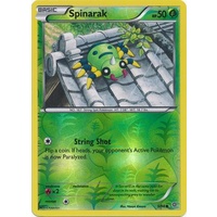 Spinarak 5/98 XY Ancient Origins Reverse Holo Common Pokemon Card NEAR MINT TCG
