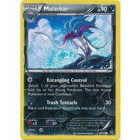 Malamar 46/98 XY Ancient Origins Reverse Holo Common Pokemon Card NEAR MINT TCG