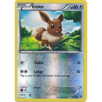 Eevee 63/98 XY Ancient Origins Reverse Holo Common Pokemon Card NEAR MINT TCG