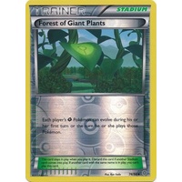 Forest of Giant Plants 74/98 XY Ancient Origins Reverse Holo Uncommon Trainer Pokemon Card NEAR MINT TCG