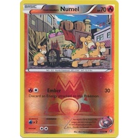 Team Magma's Numel 1/34 XY Double Crisis Reverse Holo Common Pokemon Card NEAR MINT TCG