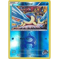 Team Aqua's Spheal 3/34 XY Double Crisis Reverse Holo Common Pokemon Card NEAR MINT TCG