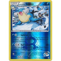 Team Aqua's Sealeo 4/34 XY Double Crisis Reverse Holo Common Pokemon Card NEAR MINT TCG