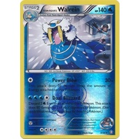 Team Aqua's Walrein 5/34 XY Double Crisis Reverse Holo Rare Pokemon Card NEAR MINT TCG