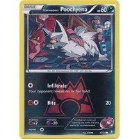 Team Magma's Poochyena 17/34 XY Double Crisis Reverse Holo Common Pokemon Card NEAR MINT TCG