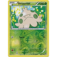 Shroomish 6/111 XY Furious Fists Reverse Holo Common Pokemon Card NEAR MINT TCG