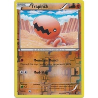 Trapinch 53/111 XY Furious Fists Reverse Holo Common Pokemon Card NEAR MINT TCG