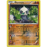 Pancham 59/111 XY Furious Fists Reverse Holo Common Pokemon Card NEAR MINT TCG