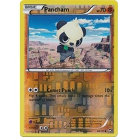 Pancham 60/111 XY Furious Fists Reverse Holo Common Pokemon Card NEAR MINT TCG