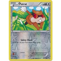 Patrat 84/111 XY Furious Fists Reverse Holo Common Pokemon Card NEAR MINT TCG