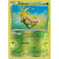 Caterpie 1/106 XY Flashfire Reverse Holo Common Pokemon Card NEAR MINT TCG