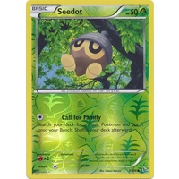Seedot 5/106 XY Flashfire Reverse Holo Common Pokemon Card NEAR MINT TCG
