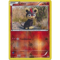 Litleo 18/106 XY Flashfire Reverse Holo Common Pokemon Card NEAR MINT TCG