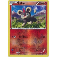 Litleo 19/106 XY Flashfire Reverse Holo Common Pokemon Card NEAR MINT TCG
