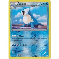 Sealeo 25/106 XY Flashfire Reverse Holo Uncommon Pokemon Card NEAR MINT TCG