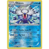 Walrein 26/106 XY Flashfire Reverse Holo Rare Pokemon Card NEAR MINT TCG