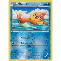 Buizel 28/106 XY Flashfire Reverse Holo Common Pokemon Card NEAR MINT TCG
