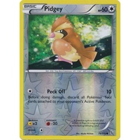 Pidgey 75/106 XY Flashfire Reverse Holo Common Pokemon Card NEAR MINT TCG