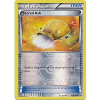 Sacred Ash 96/106 XY Flashfire Reverse Holo Uncommon Trainer Pokemon Card NEAR MINT TCG