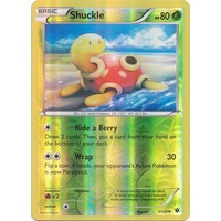 Shuckle 1/124 XY Fates Collide Reverse Holo Uncommon Pokemon Card NEAR MINT TCG