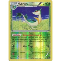 Servine 6/124 XY Fates Collide Reverse Holo Uncommon Pokemon Card NEAR MINT TCG