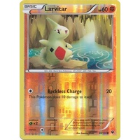 Larvitar 40/124 XY Fates Collide Reverse Holo Common Pokemon Card NEAR MINT TCG