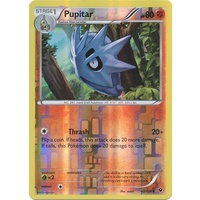 Pupitar 42/124 XY Fates Collide Reverse Holo Uncommon Pokemon Card NEAR MINT TCG