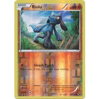 Riolu 46/124 XY Fates Collide Reverse Holo Common Pokemon Card NEAR MINT TCG