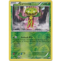 Carnivine 5/113 BW Legendary Treasures Reverse Holo Uncommon Pokemon Card NEAR MINT TCG