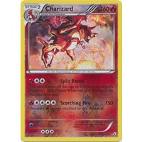 Charizard 19/113 BW Legendary Treasures Reverse Holo Rare Pokemon Card NEAR MINT TCG