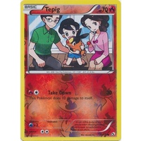 Tepig 25/113 BW Legendary Treasures Reverse Holo Common Pokemon Card NEAR MINT TCG