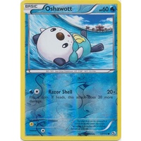 Oshawott 37/113 BW Legendary Treasures Reverse Holo Common Pokemon Card NEAR MINT TCG