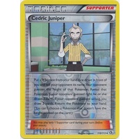 Cedric Juniper 110/113 BW Legendary Treasures Reverse Holo Uncommon Trainer Pokemon Card NEAR MINT TCG