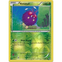 Venonat 1/119 XY Phantom Forces Reverse Holo Common Pokemon Card NEAR MINT TCG